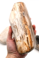 Petrified wood free form 15 kg
