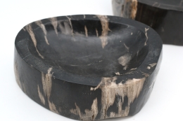 Petrified Wood Bowl Indonesia