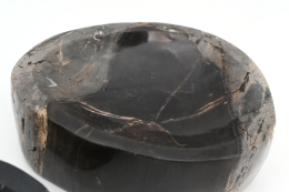 Petrified Wood Bowl Indonesia