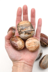 Petrified wood tumbled stones jumbo