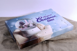 Adventskalender mit Mineralien und Fossilien