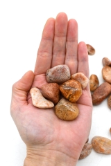 Moss agate pink tumbled stones