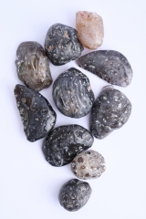 enhydro water agate geodes