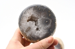 Achat auf Metallst�nder