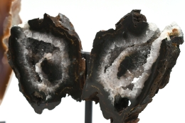 Achat Fl�gel auf Metallst�nder ab 1000g - 3000g