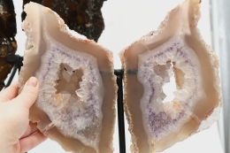 Achat Fl�gel auf Metallst�nder ab 3,1 kg