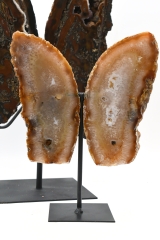 Achat Fl�gel auf Metallst�nder ab 3,1 kg