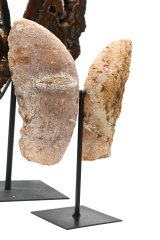 Achat Fl�gel auf Metallst�nder ab 3,1 kg