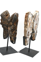 Achat Fl�gel auf Metallst�nder ab 3,1 kg