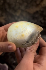 Wasserachat Geoden Enhydro