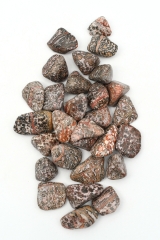 Leopardenjaspis Trommelsteine