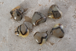 Septaria Heart 40 - 60 mm