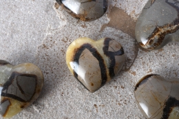 Septarie Herz 40 - 60 mm