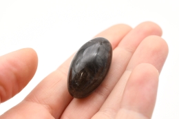 Rauchquarz Shiva Shape