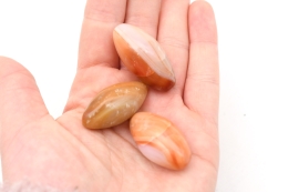 Carneol Shiva Shape