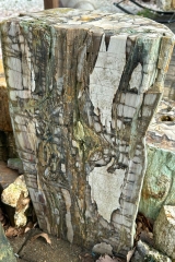 Versteinertes Holz St�mme 200 kg
