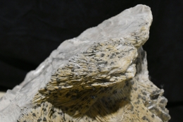 Baryt mit Kupferkies