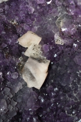 Amethyst Fl�gelpaar