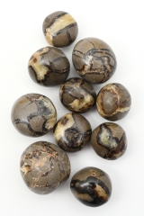 Septarie Trommelsteine Jumbo