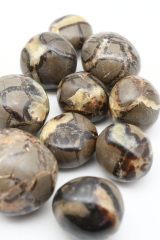 Septarie Trommelsteine Jumbo