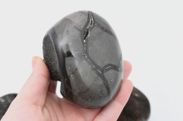 Septarie wild Trommelsteine Jumbo