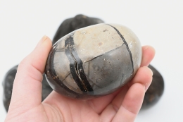 Septarie wild Trommelsteine Jumbo