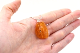 Bernstein Anh�nger