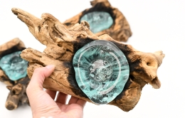 Teelicht auf Kaffeestrauchwurzel 1