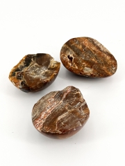 Versteinertes Holz polished on top