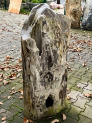 Petrified wood trunks 170 kg single piece