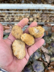 Quartz geodes closed 15 kg