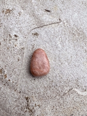 Aprikosen Mondstein Trommelstein gebohrt 5-er Set