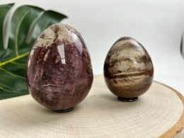 Petrified Wood Eggs