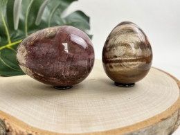 Versteinertes Holz Eier