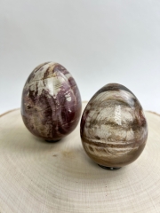 Versteinertes Holz Eier