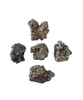 Eisenmeteoriten Campo del Cielo (klein)