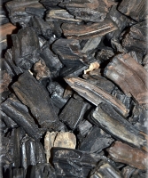 Fossile Pferdez�hne