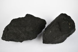 Schungit Rohsteine medium