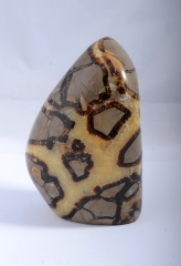 Septarie Free Form