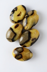 Septarien Seifensteine Jumbo