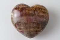 Versteinertes Holz Herz