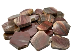 Petrified wood sections