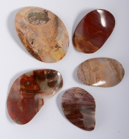 Versteinertes Holz Wave Shape