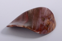 Versteinertes Holz Wave Shape