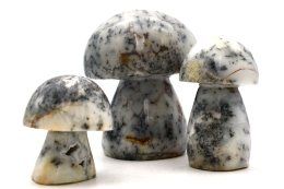 Dendritic Opal Mushrooms