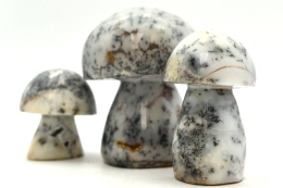 Dendriten Opal Pilze