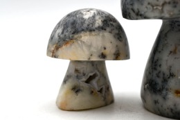 Dendriten Opal Pilze