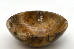 Versteinertes Holz Schale