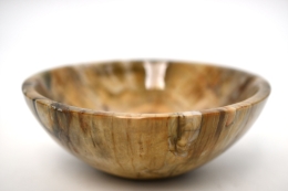 Versteinertes Holz Schale