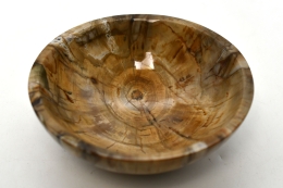 Versteinertes Holz Schale